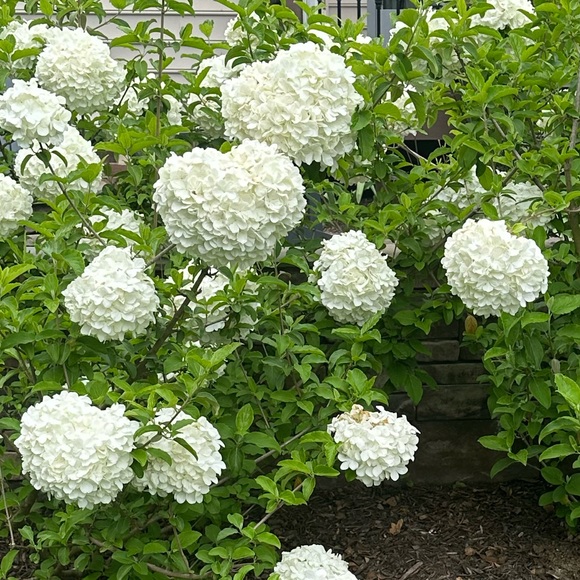 ceecee52306